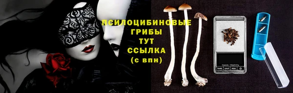 сатива Балабаново
