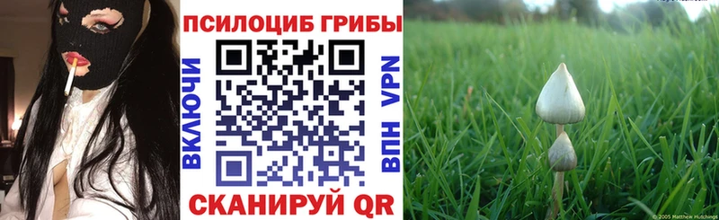 Галлюциногенные грибы Cubensis  как найти наркотики  Шумерля 